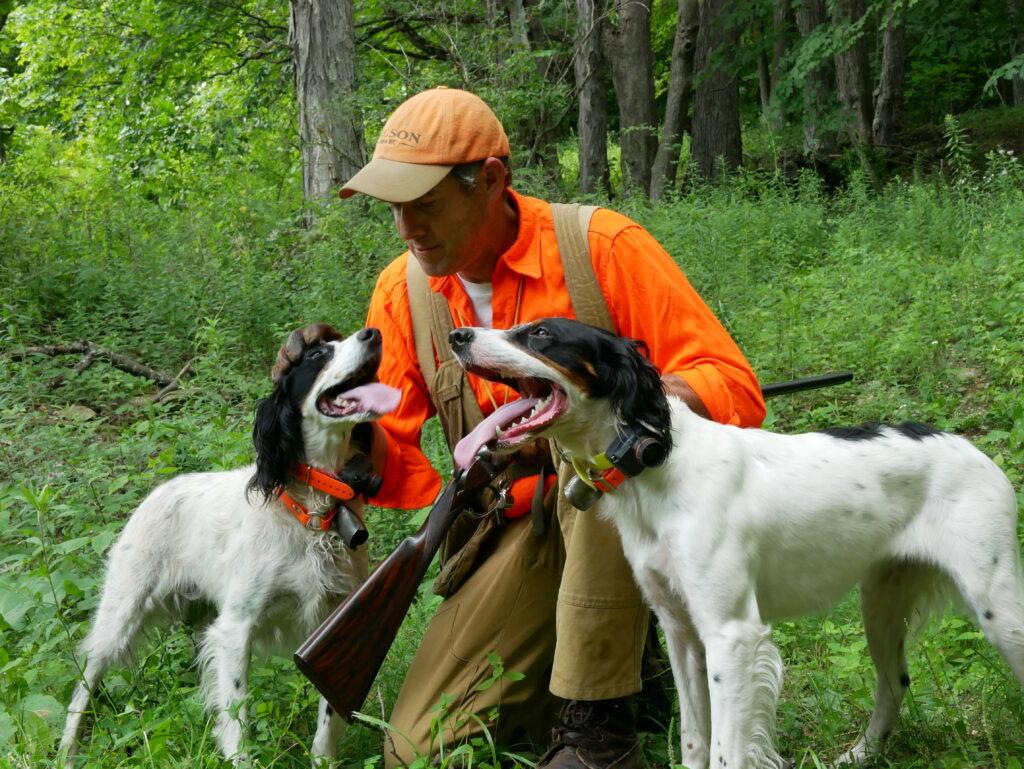 Tom Miller and his champion-bloodline English Setters.